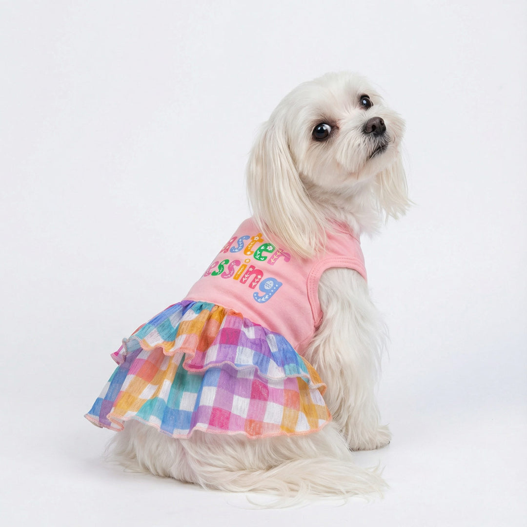 Dog wearing pastel plaid Easter dog dress, sitting on white background with colorful ruffle skirt