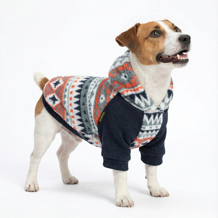 Dog wearing patterned fleece dog sweatshirt with knit sleeves, standing on white background