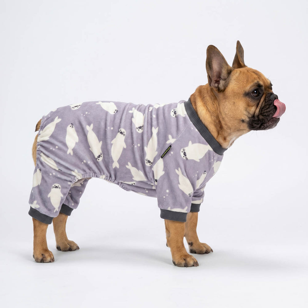French Bulldog in a funny dog pjs with seal print