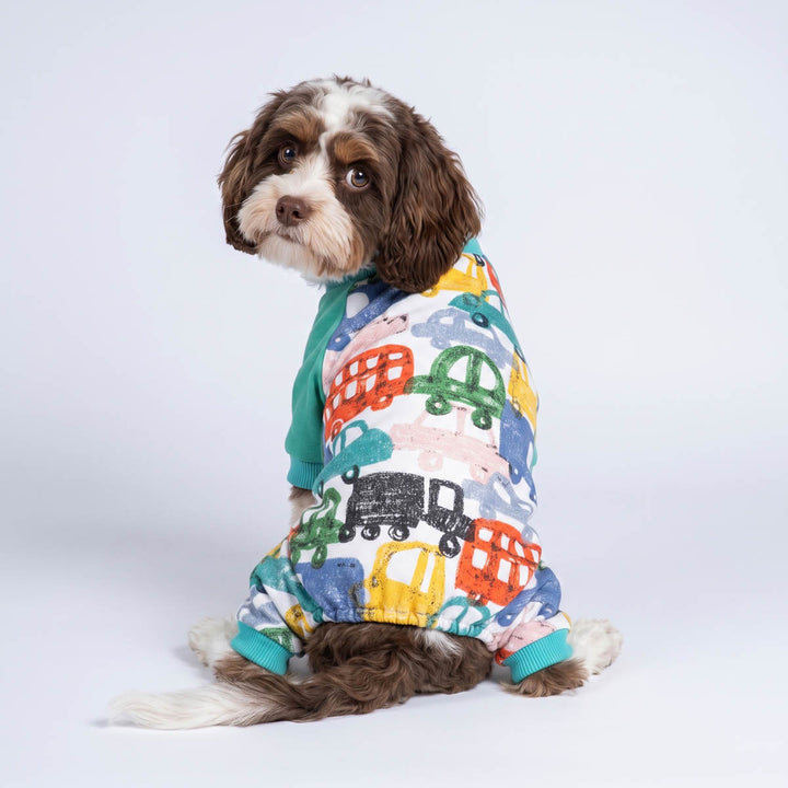 Back view of small dog in a funny crayon car dog pjs