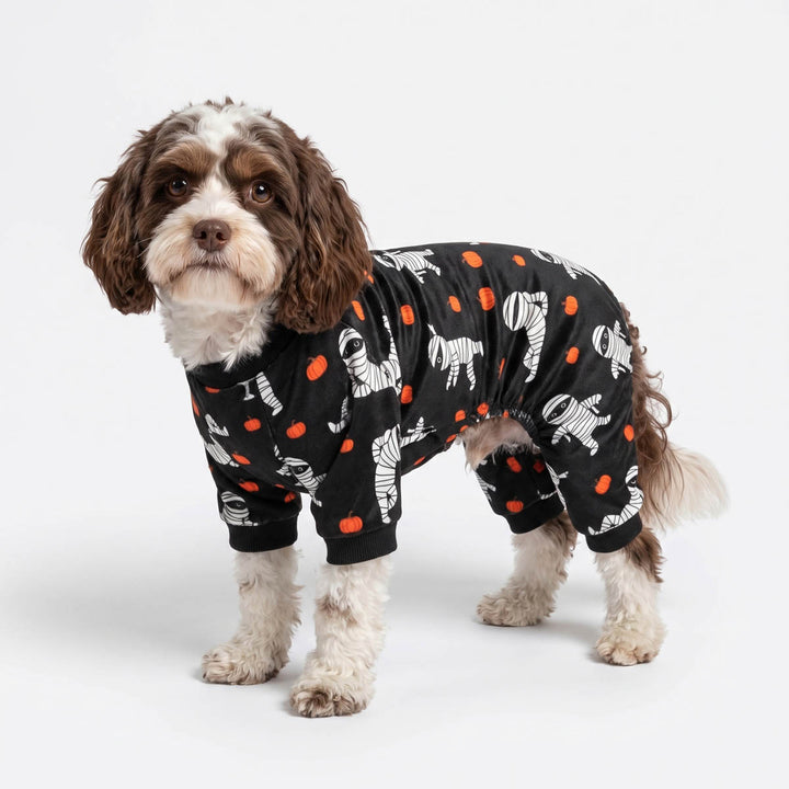 Small dog wearing a funny Halloween dog pjs with funny mummy prints and standing on a white background