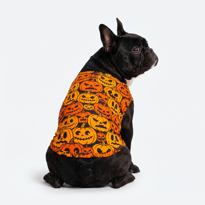 Back view of French Bulldog sitting on a white background with a dog tank top scary Jack-o'- lantern prints