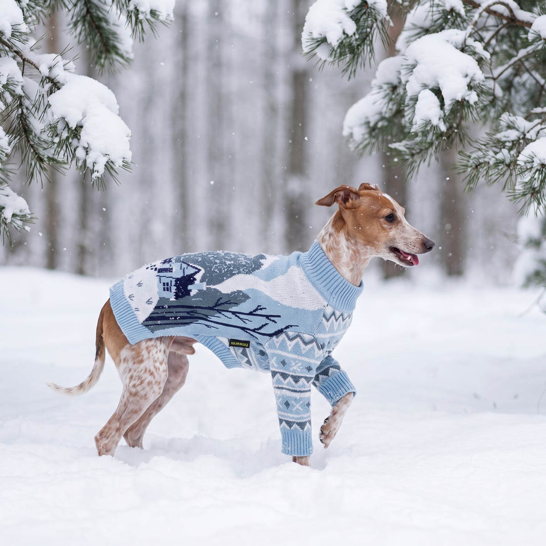 Small brown and white dog running through deep snow in a wooded outdoor setting with a light blue dog winter sweater with a village pattern