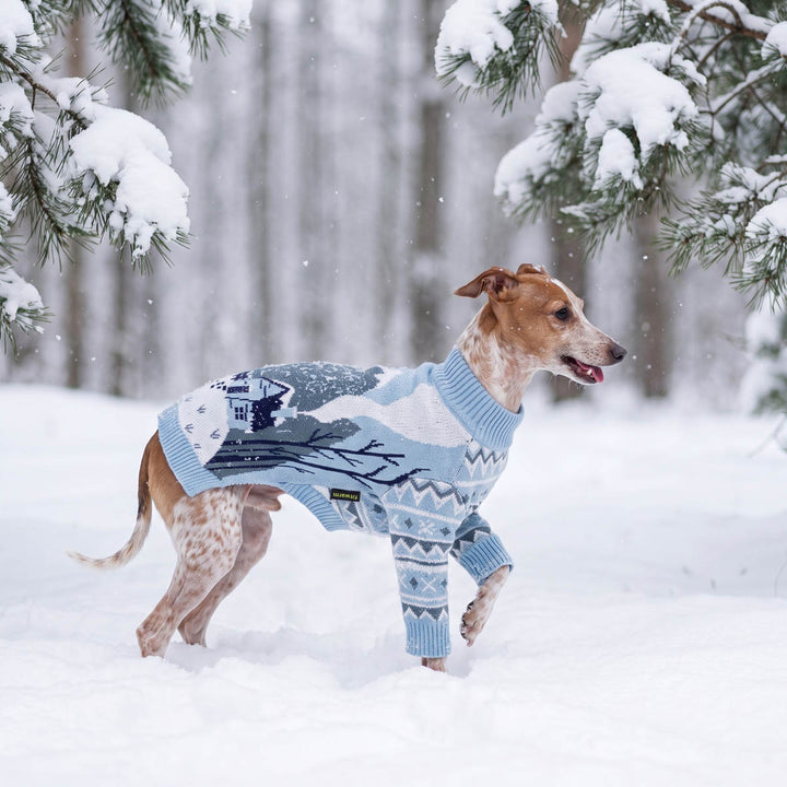Small brown and white dog running through deep snow in a wooded outdoor setting with a light blue dog winter sweater with a village pattern