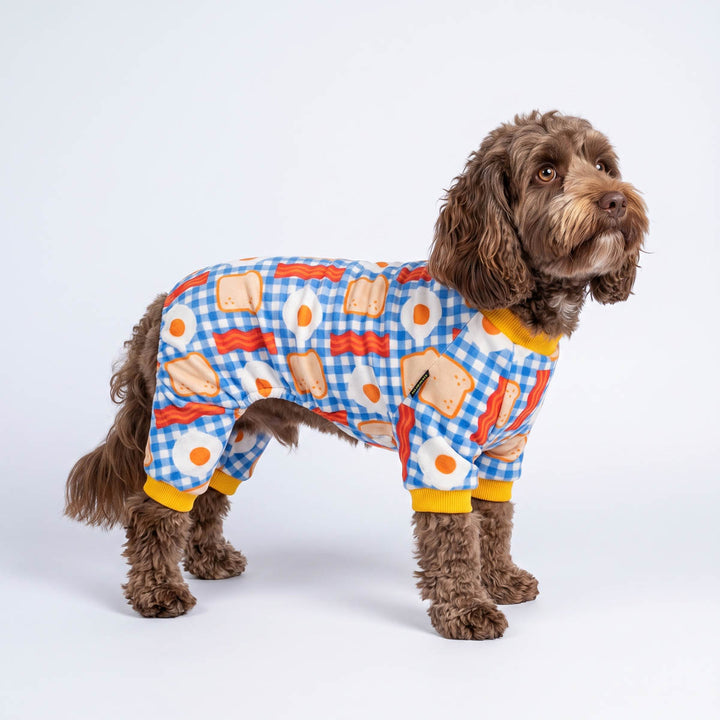 Brown curly-haired dog wearing a blue pajama for dogs with a breakfast food print, standing against a light gray studio background