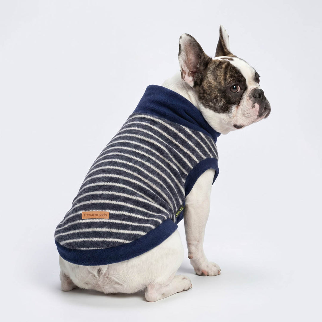 French bulldog wearing a navy blue and white striped dog knit sweater, photographed against a seamless white studio background