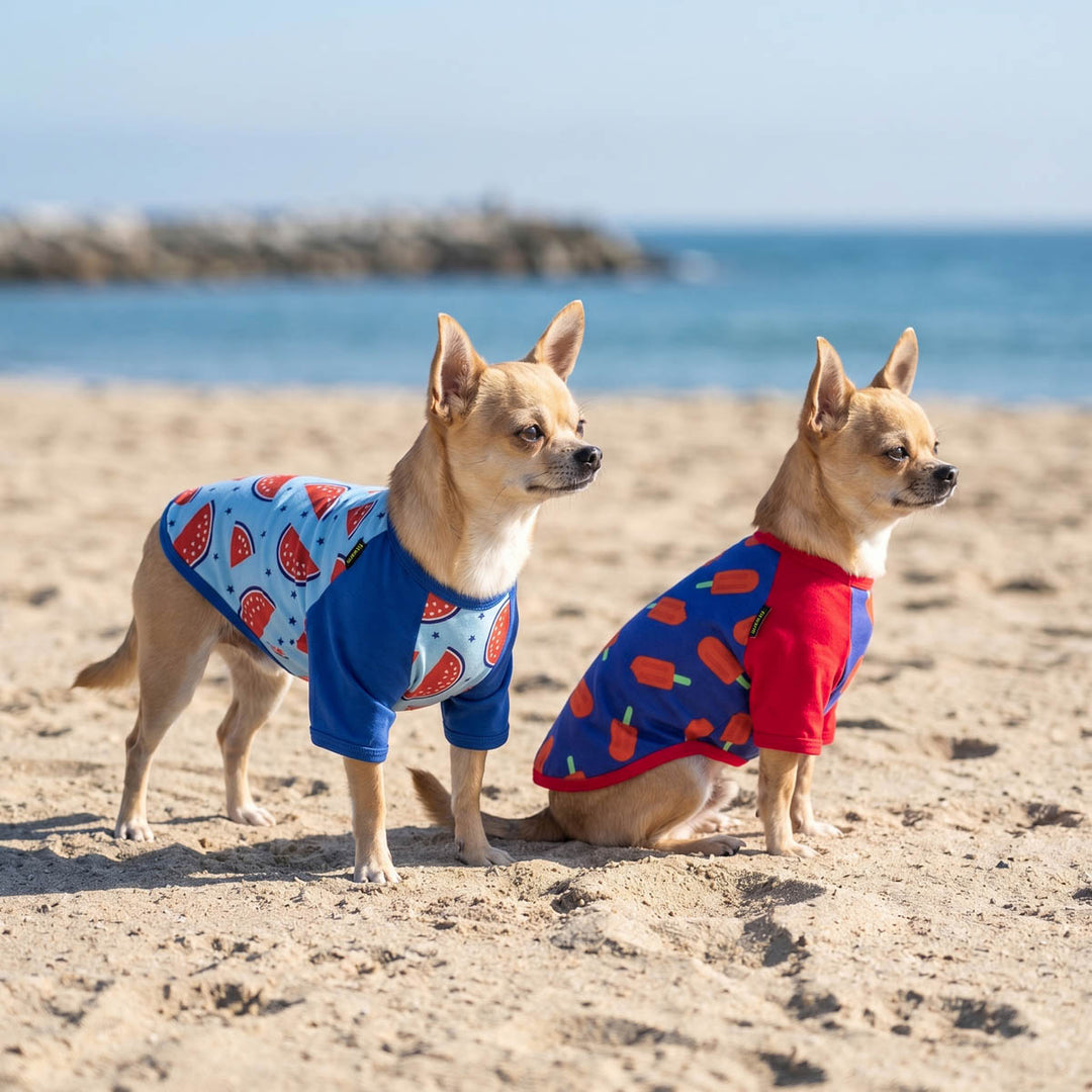 Two small dogs wearing colorful 4th of July dog shirts on a sandy beach with ocean in the background