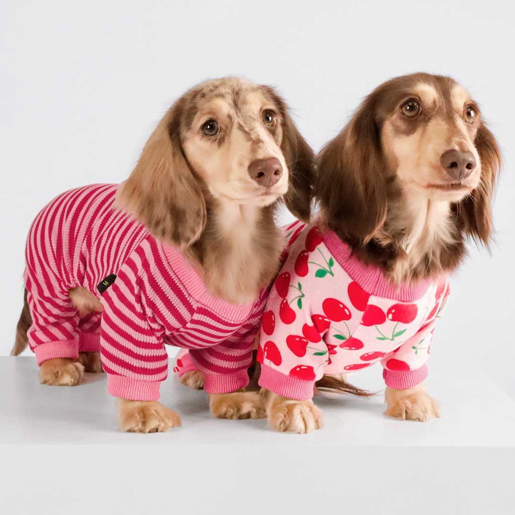 Dachshunds in Pink Waffle Stripes Dog Pajamas - Fitwarm Dog Clothes