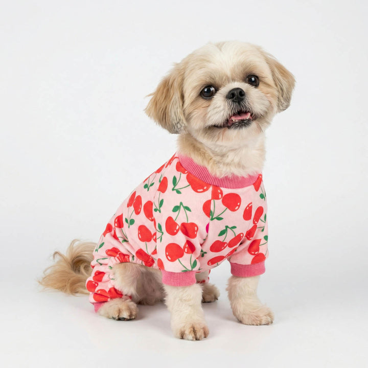 Small dog sitting in cozy dog onesie featuring pink color and all over cherry pattern