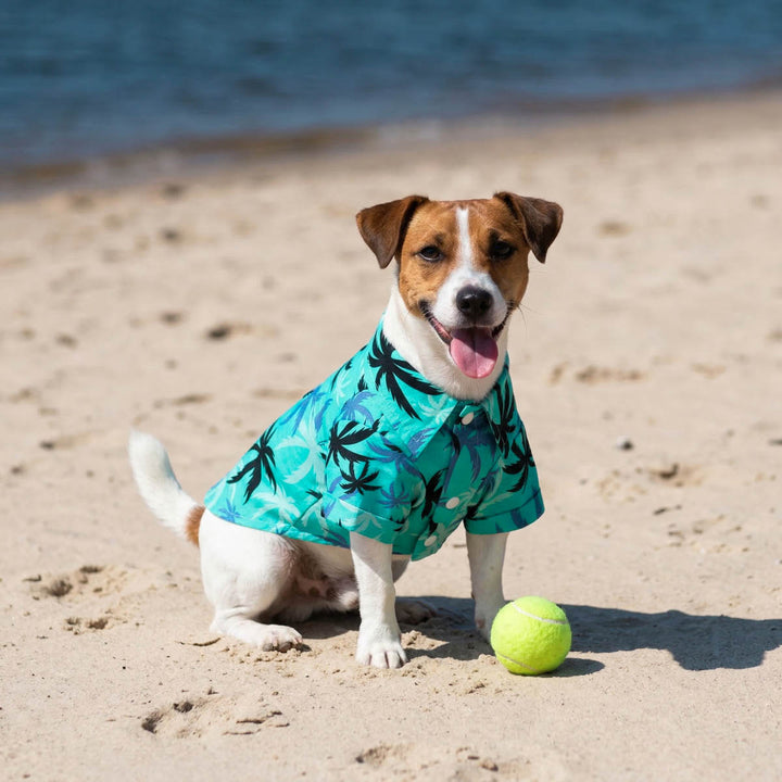 Small dog wearing a Hawaiian palm tree print shirt for dogs and sitting on the beach
