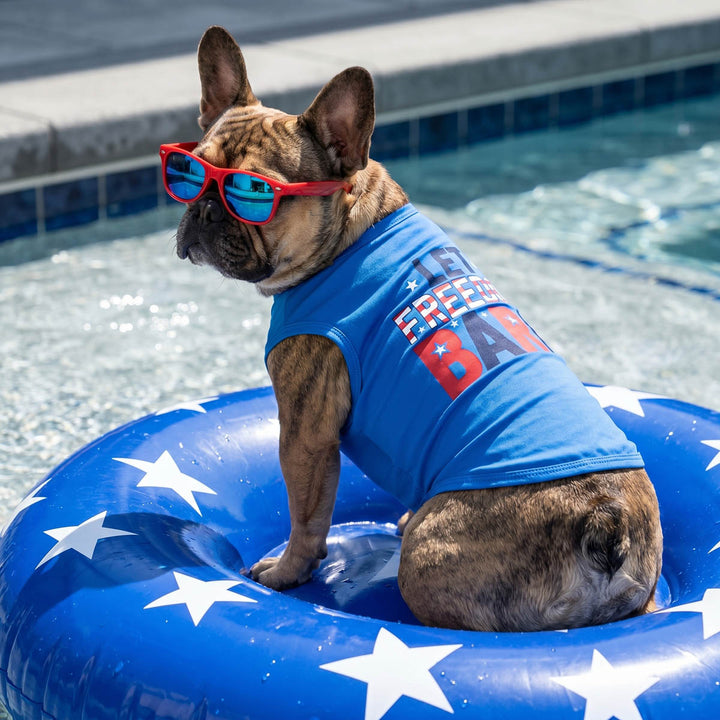 French Bulldog sitting on a inflatable ring with a 4th of July dog tank top in 'Let freedom bark' lettering