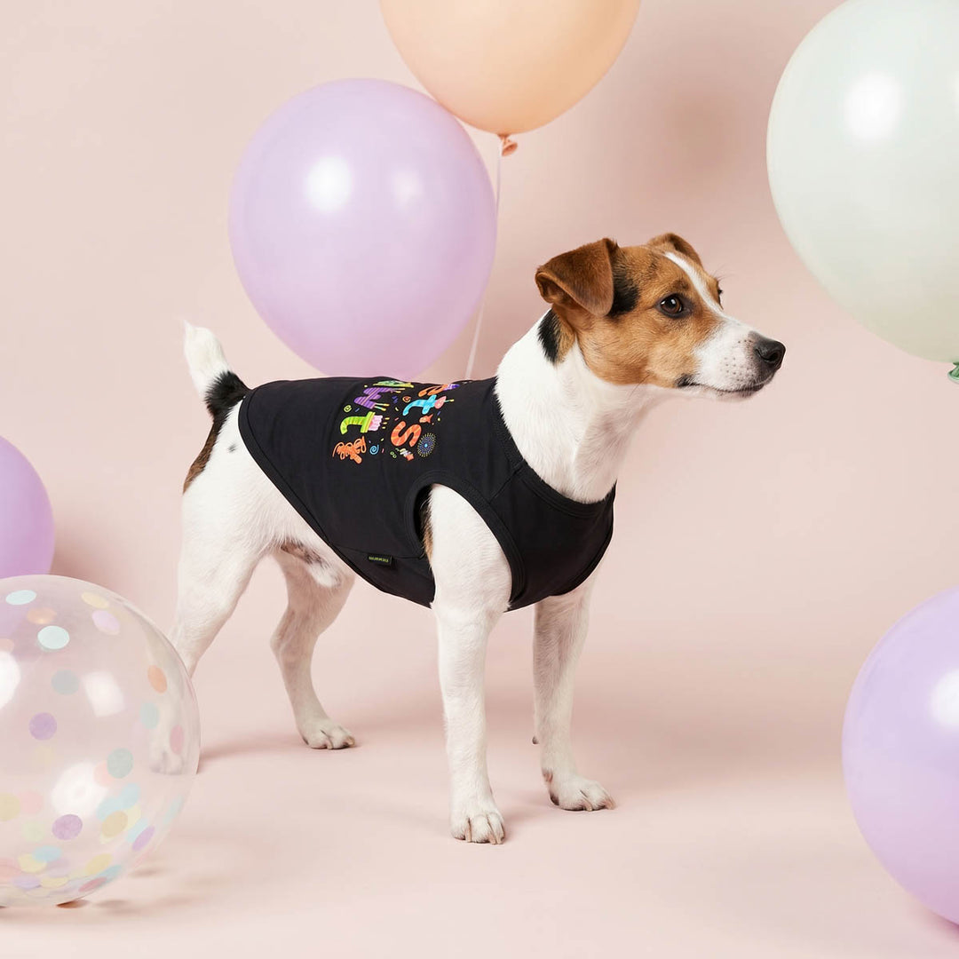 Dog wearing a black dog tshirt with colorful text and designs, standing among balloons on a pink background