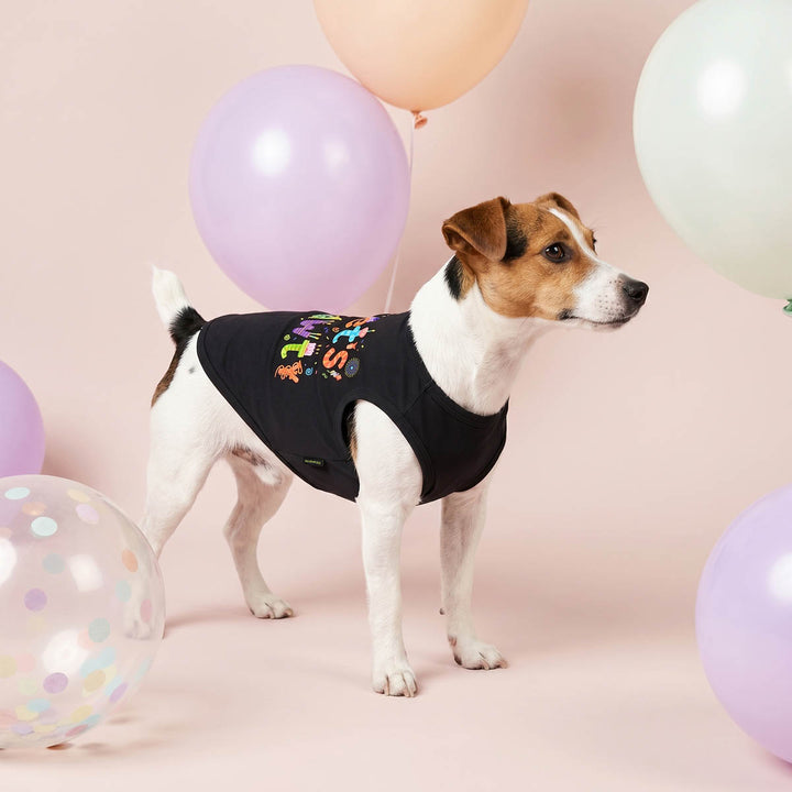 Dog wearing a black dog tshirt with colorful text and designs, standing among balloons on a pink background