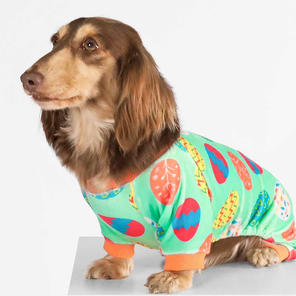 Easter Egg Themed Dog Pajamas on Dachshund - Fitwarm Dog Clothes