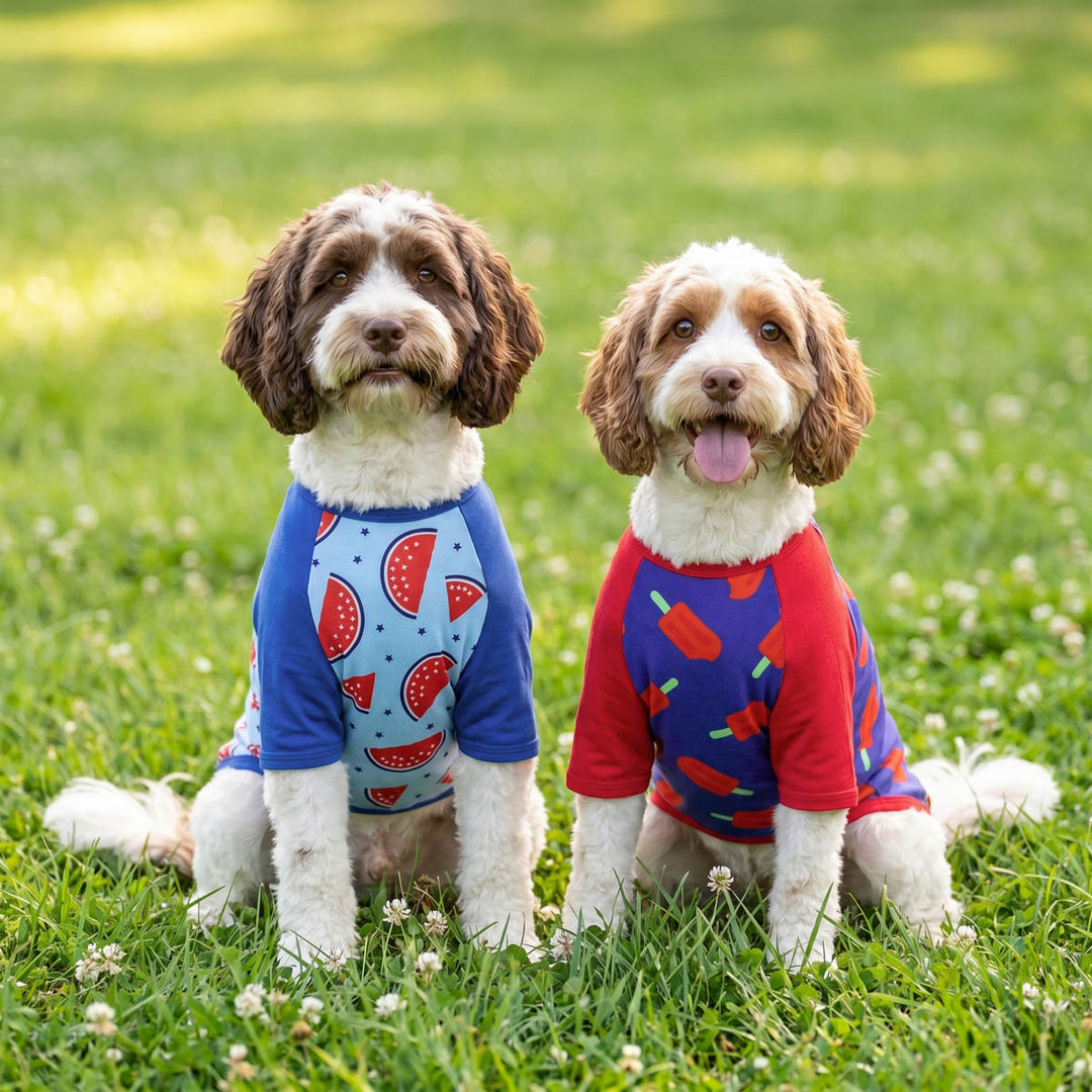 Two dogs wearing patriotic shirts for dogs with fruit and ice pop patterns sitting on grass