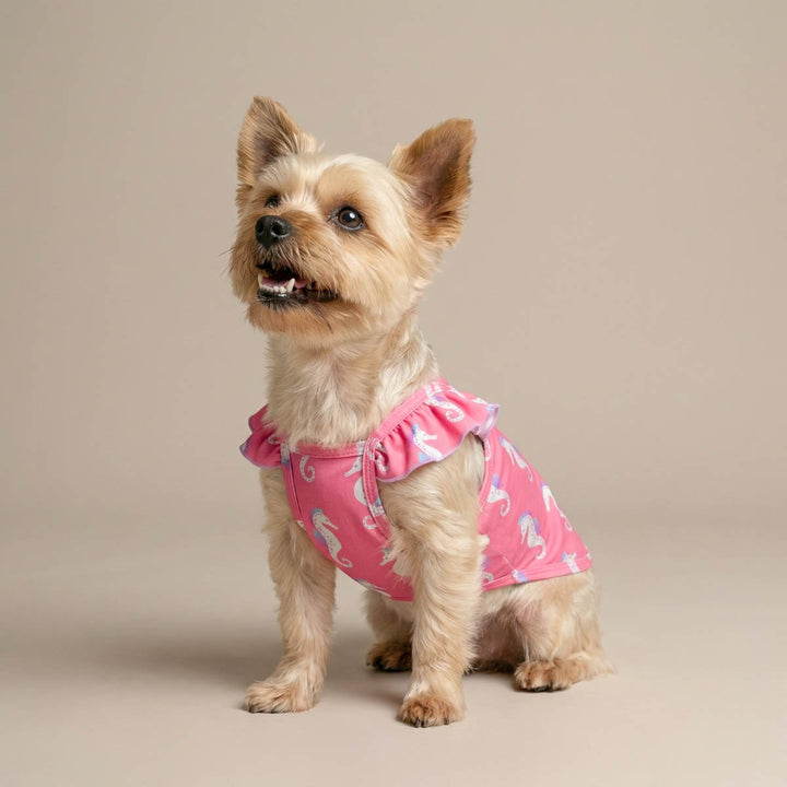 Yorkie wearing a pink seahorse print shirt for dogs