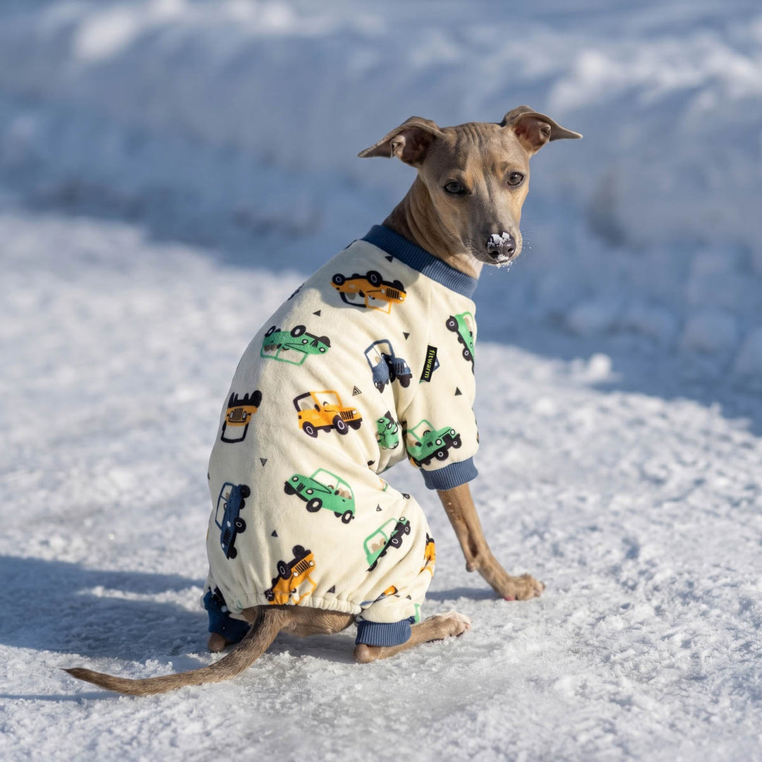 Dog sitting on snow with a cozy car prints dog onesie