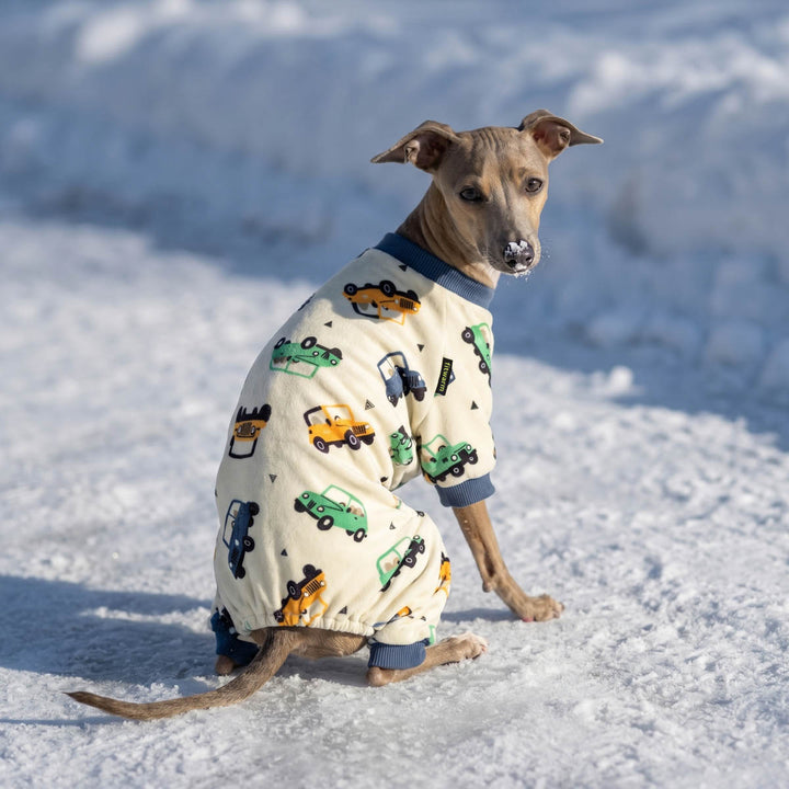 Dog sitting on snow with a cozy car prints dog onesie