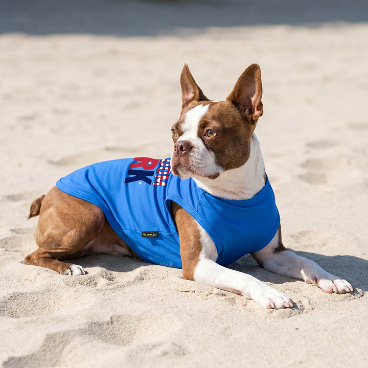 Small dog lying on the beach in a blue dog tshirt with patriotic details