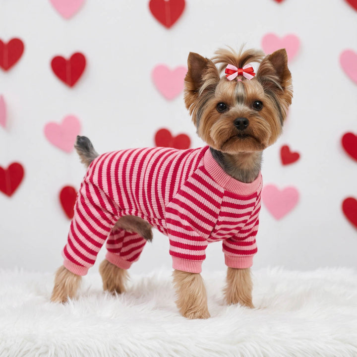 Small dog wearing a pink and red striped pajamas for dogs, standing on a white faux fur rug in front of a white wall decorated with red and pink hearts