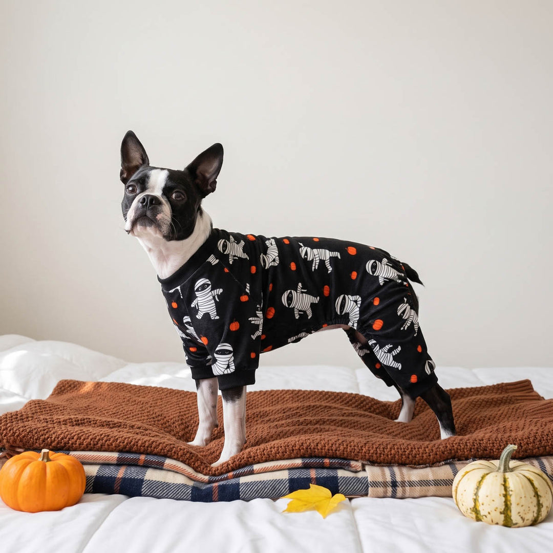 Boston Terrier dog stands on a bed wearing a black long-sleeve dog onesie  with a white skeleton and ghost pattern and orange polka dots