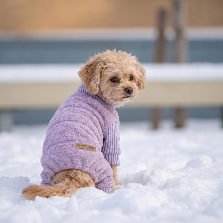 Fluffy dog sitting in the snow wearing a cozy lavender fleece pajamas for dogs.