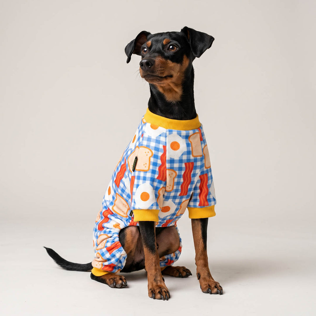 Small black and tan dog wearing a full-body dog pjs with a blue gingham pattern, breakfast-themed prints, and yellow trim, photographed against a plain light gray studio background