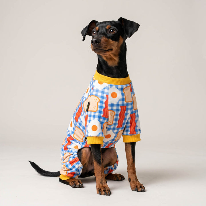 Small black and tan dog wearing a full-body dog pjs with a blue gingham pattern, breakfast-themed prints, and yellow trim, photographed against a plain light gray studio background