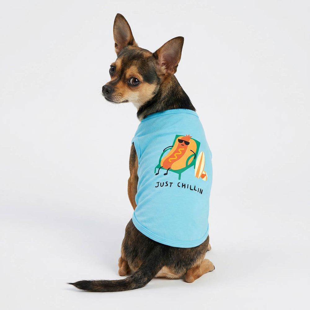 Chihuahua looks back with a blue dog tank top 