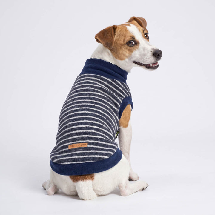Small dog with white and tan fur sits wearing a navy and white striped sweater for dogs against a clean white studio background