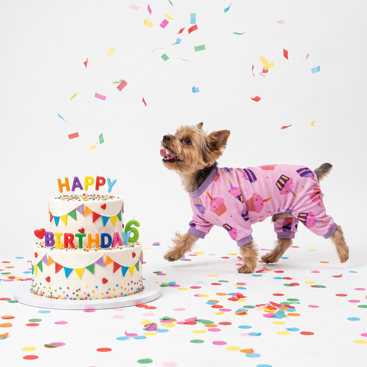 Small dog wearing a pink dog onesie with a cute cartoon cake prints stands next to a decorated birthday cake with colorful confetti scattered on a white studio background