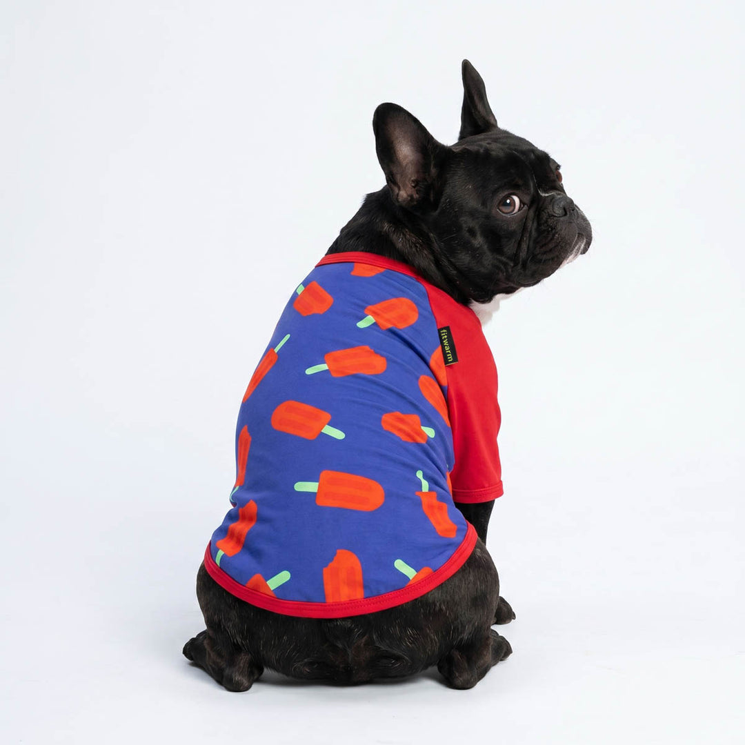 Back view of French Bulldog wearing a 4th of July dog t-shirt in ice pop prints