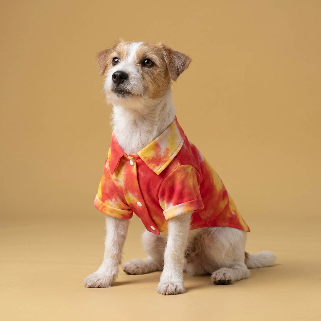 Small wearing a tie dye dog t shirt in a yellow background