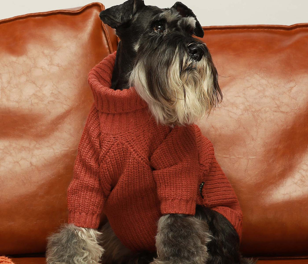Turtleneck Knitted Schnauzer Sweater - Fitwarm