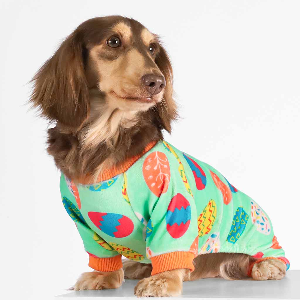 Dachshund in a Colorful Easter Egg Themed Pajamas - Fitwarm Dog Clothes