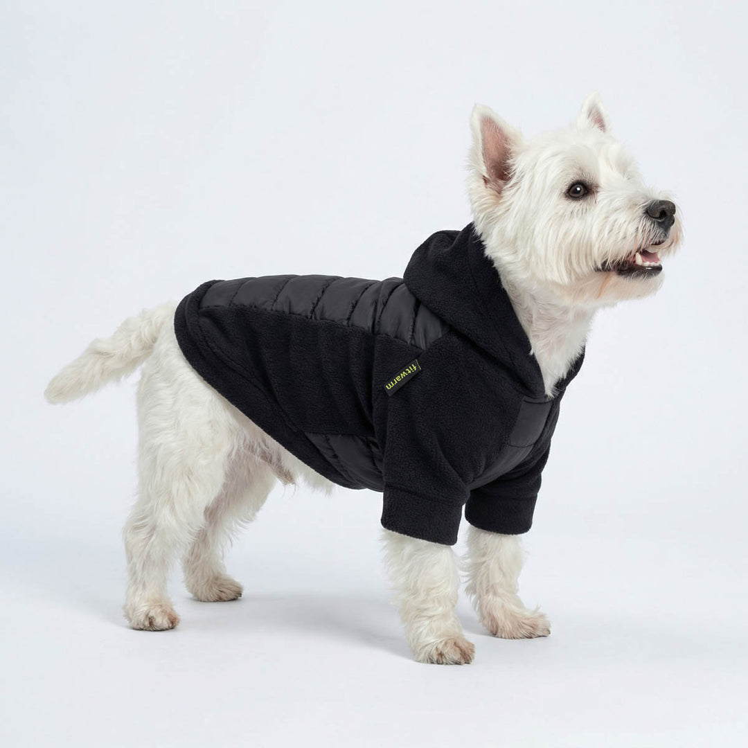 Westie wearing a black puffer winter dog hoodie on a white background