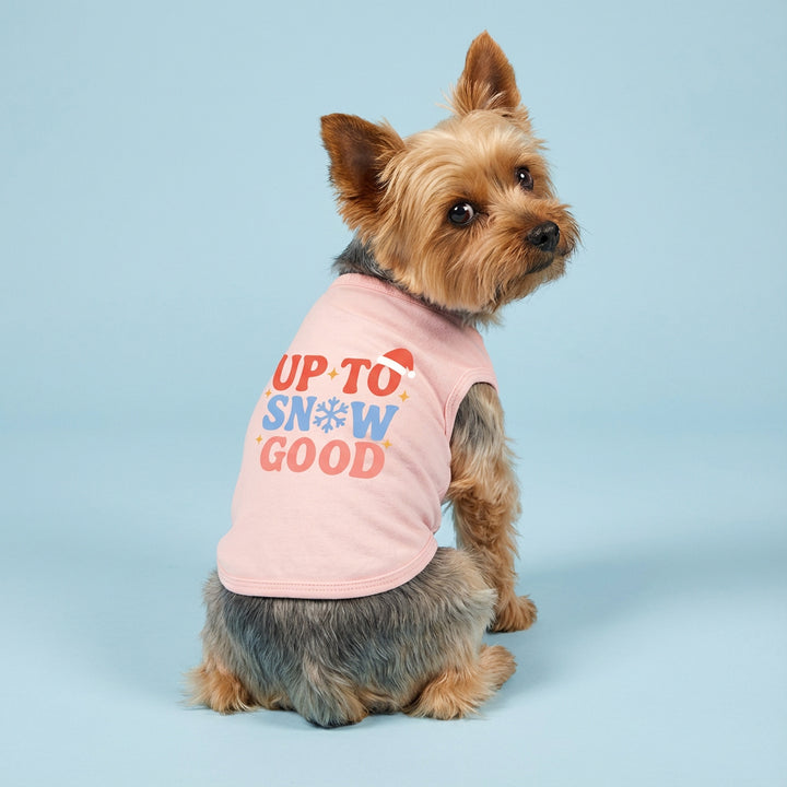 Yorkshire terrier sitting in cute dog tank top printed with up to snow good lettering