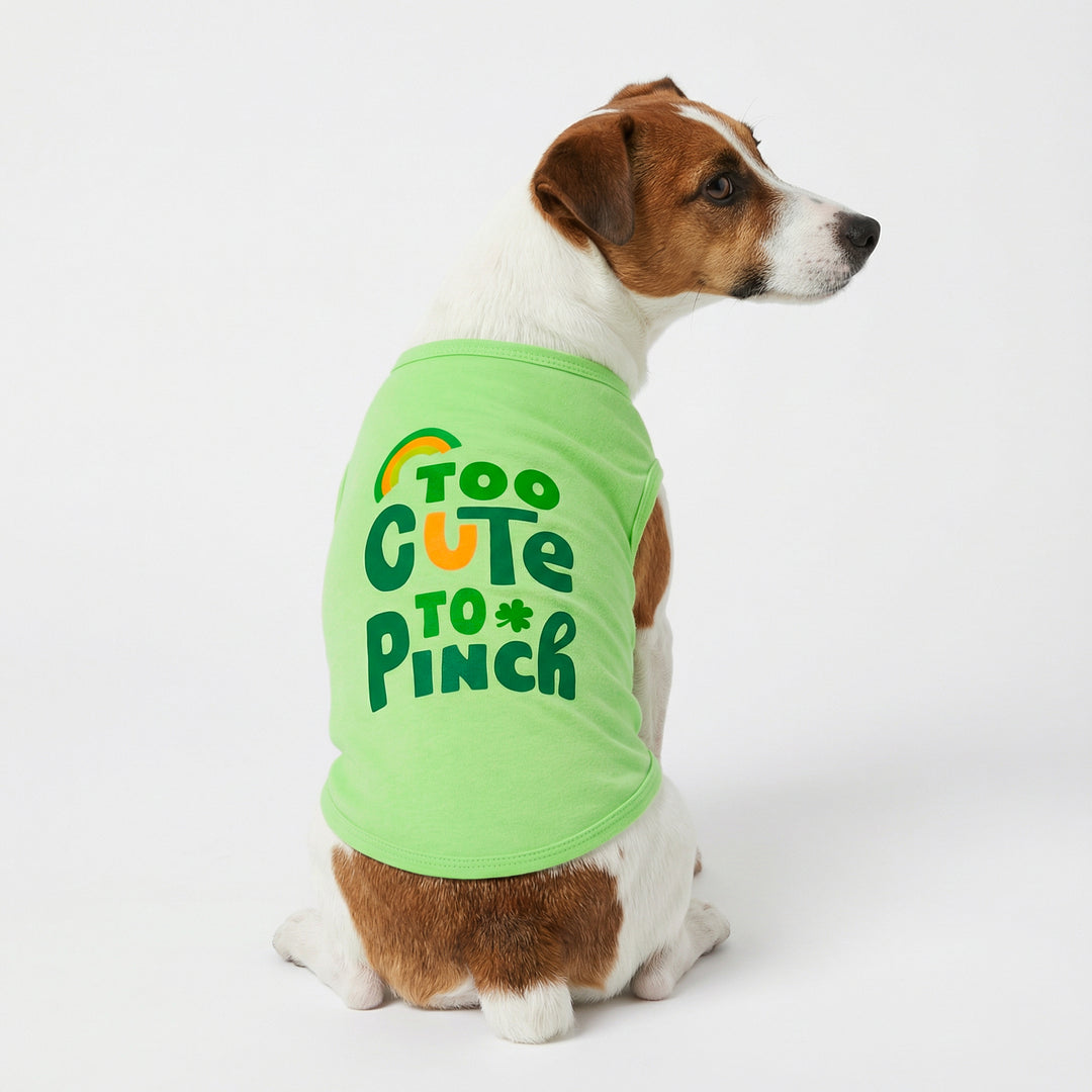 Dog wearing a St. Patrick's dog tank top with text on a white background