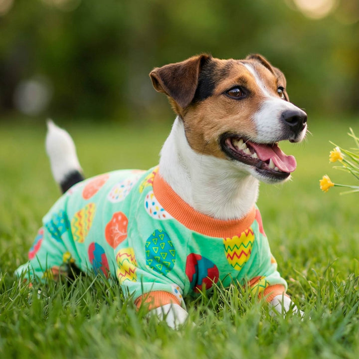 Dog in green Easter egg print pajamas with orange trim, lying in grass.