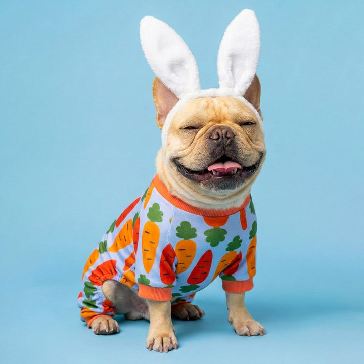 French bulldog wearing a funny carrot dog pajamas with an adorable rabbit ears