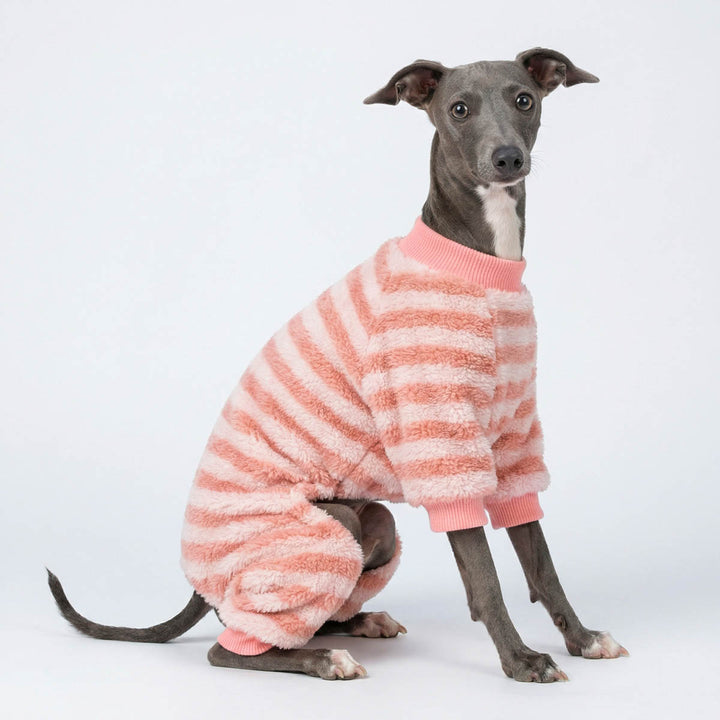 Slim dog dressed in plush striped dog jammies