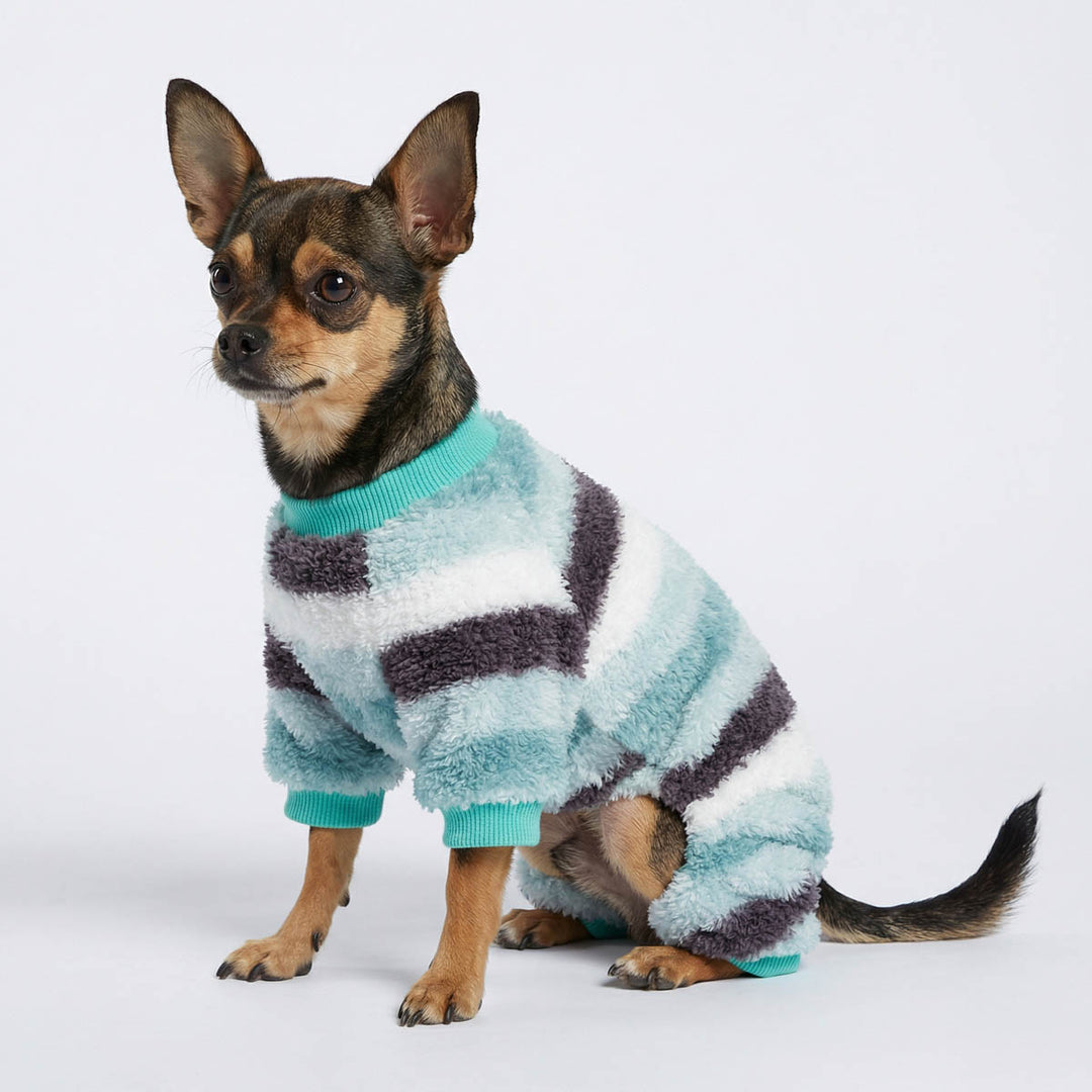 Dog dressed in striped dog pjs designed for warmth and everyday comfort