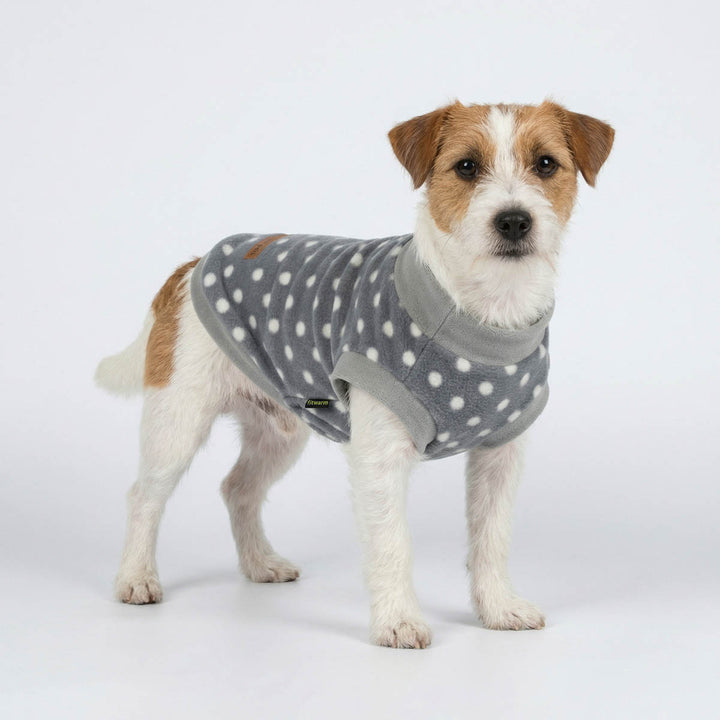 Small dog wearing a winter dog turtleneck sweater with white polka dot design