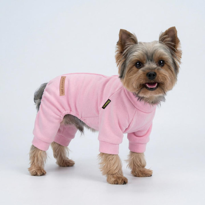 Yorkie dresses in a winter dog fleece pajamas and smiles