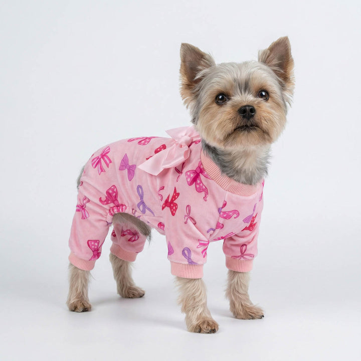 Yorkie in a sweet bowknot print dog pjs