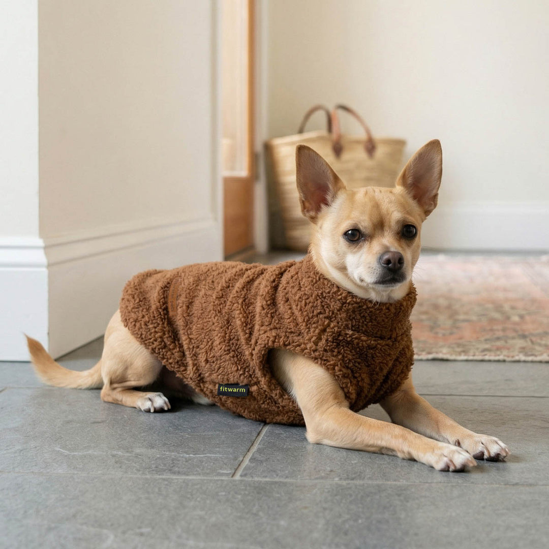 Chihuahua lying on the ground with a brown dog fleece sweater