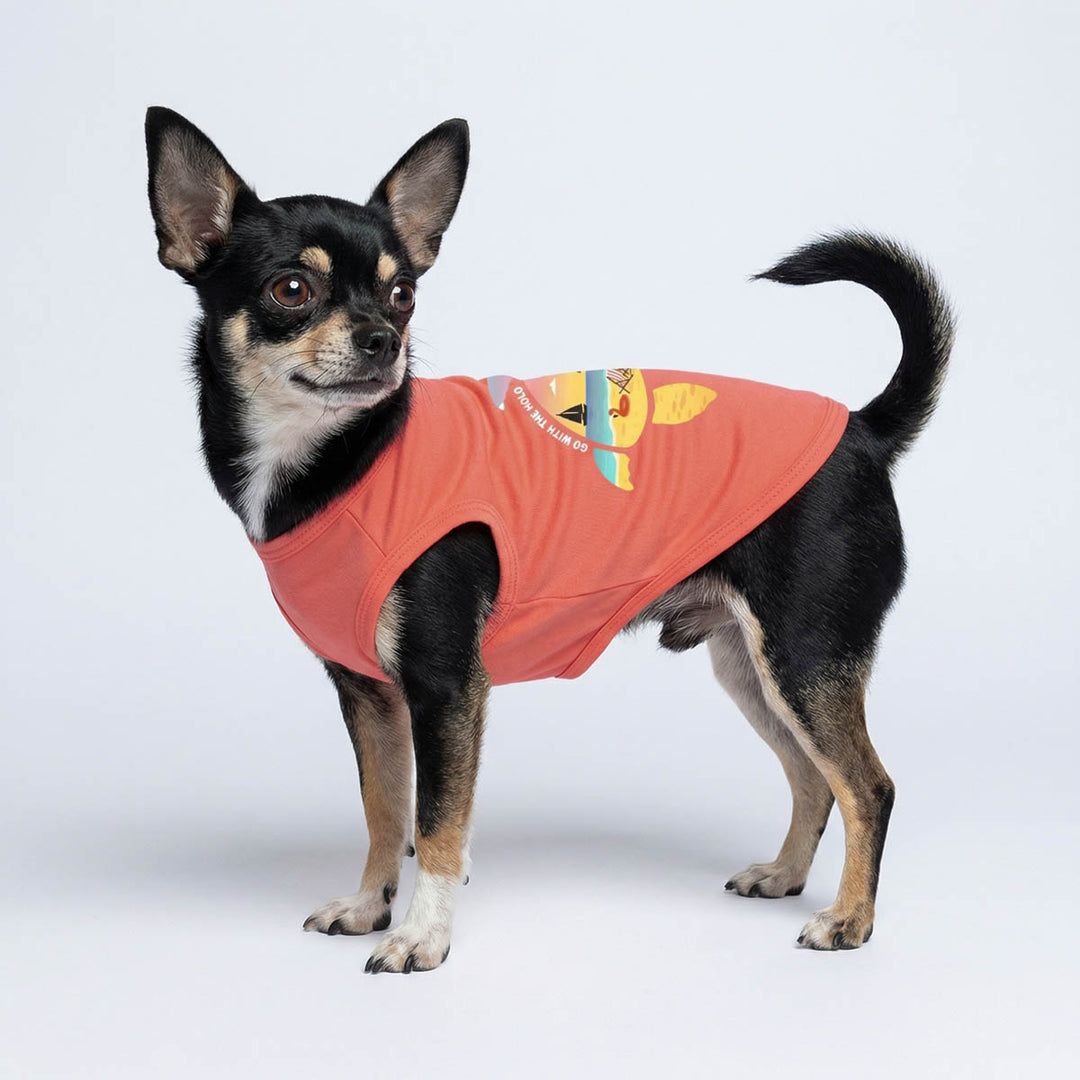 Chihuahua in a summer shirt for dogs, perfect for summer vacation