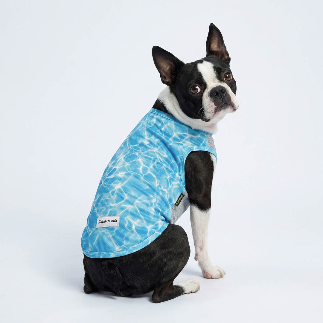 Boston Terrier wearing a ocean prints summer dog UV sun protection shirt
