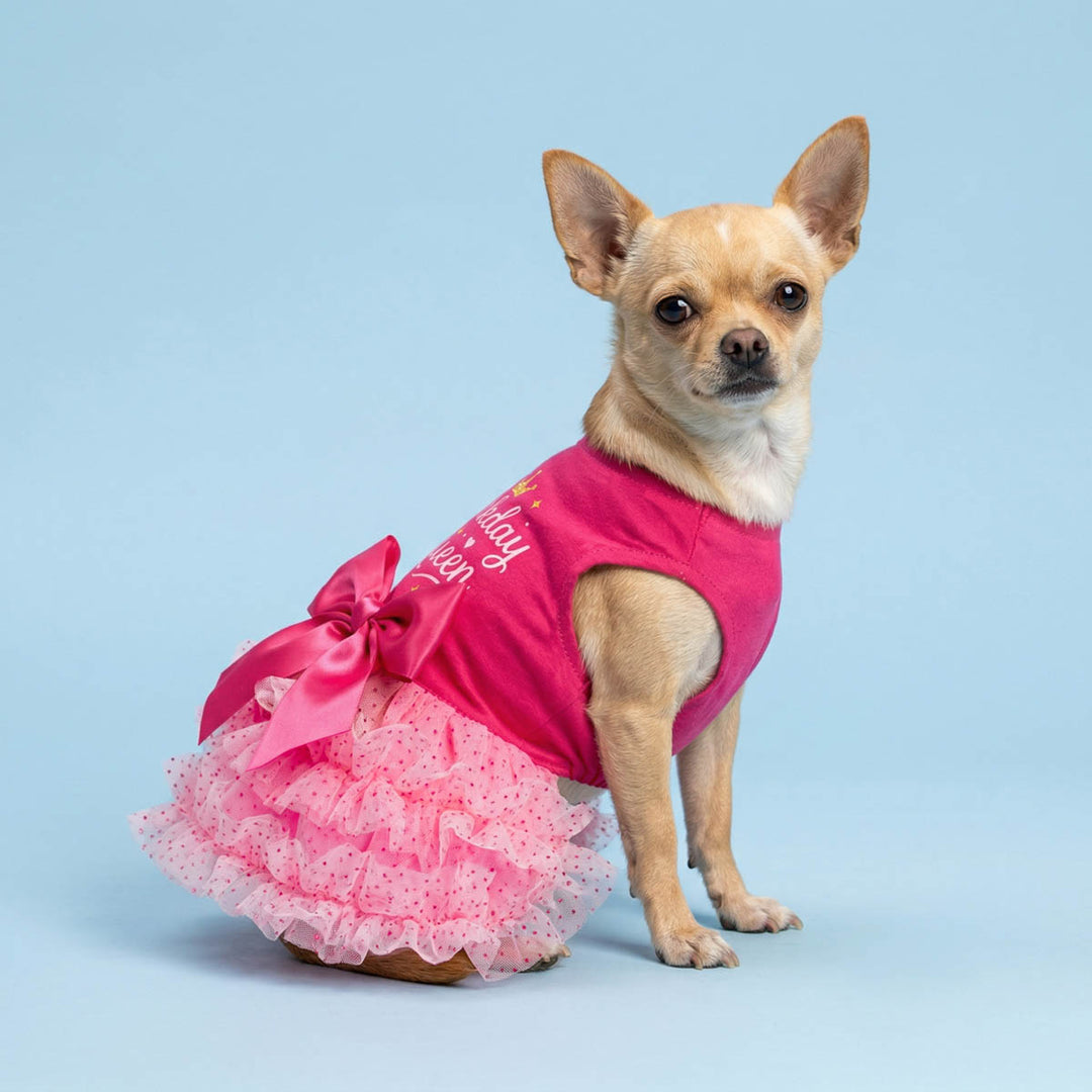 Barkday Queen Tiered Dog Tutu Dress