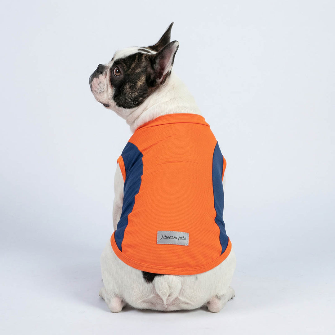 Back view of French Bulldog wearing a dog uv shirt